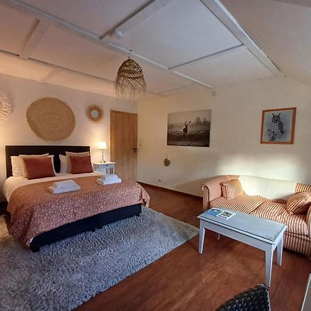 Les Gabelous - Chambre D'Hotes - Viroinval Dourbes エクステリア 写真