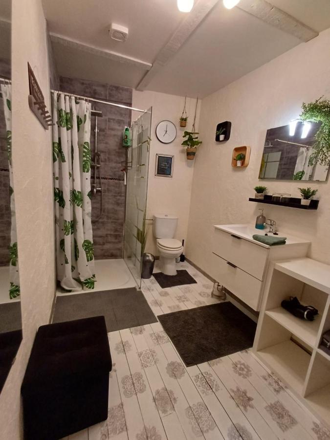 Les Gabelous - Chambre D'Hotes - Viroinval Dourbes エクステリア 写真