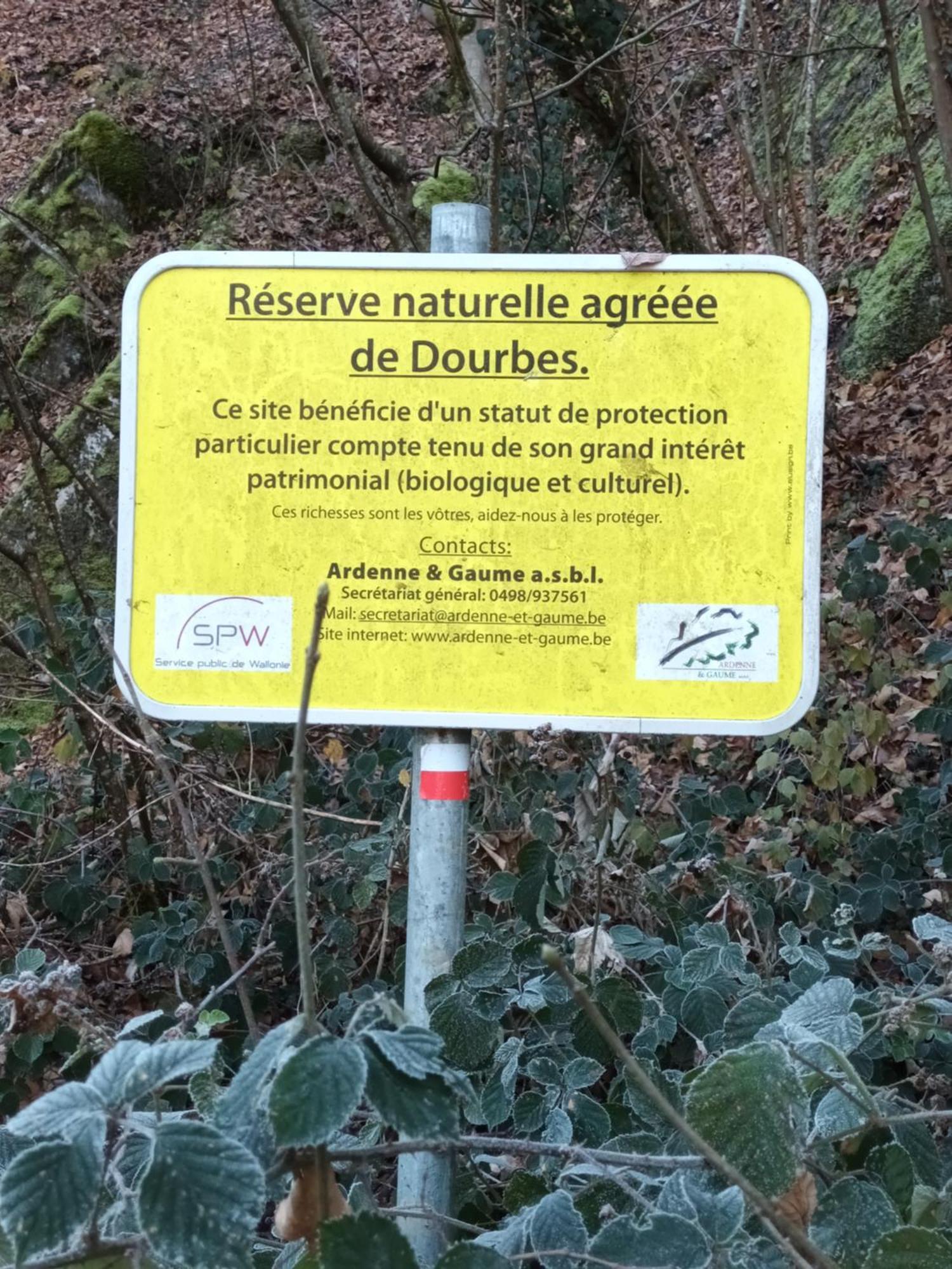 Les Gabelous - Chambre D'Hotes - Viroinval Dourbes エクステリア 写真
